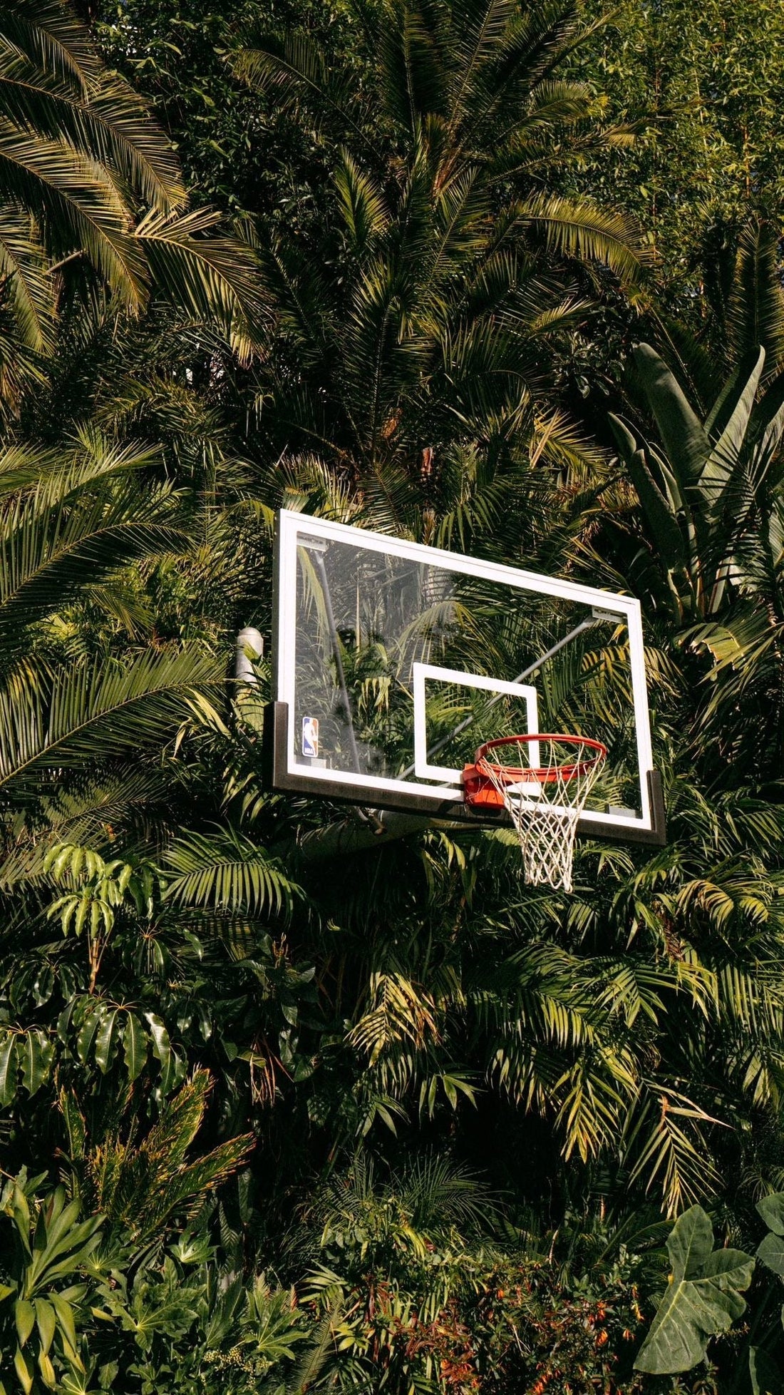 Electrolytes: The MVPs of Hydration