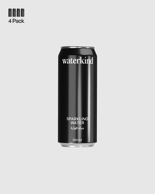 Sparkling Water - 4 Pack